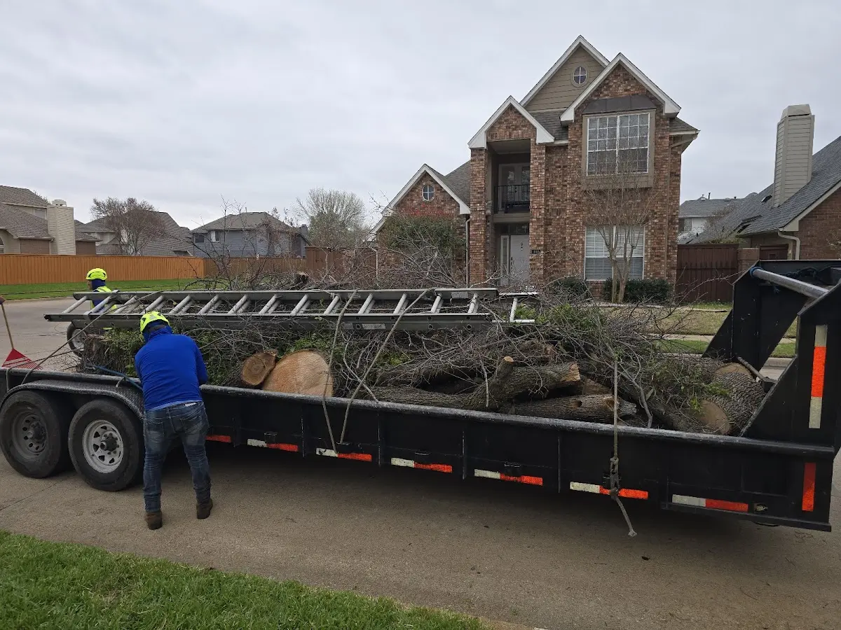 Expert Lot Clearing with proper safety equipment in Brisbin